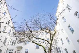 Wohnung kaufen berlin prenzlauer Berg schivelbeiner Straße schwarz immobilien