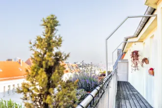 wohnung, kaufen, berlin, Prenzlauer berg, winskiez, chodowieckistraße, dachgeschoss, eigentumswohnung, schwarz immobilien