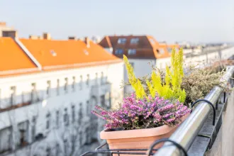 wohnung, kaufen, berlin, Prenzlauer berg, winskiez, chodowieckistraße, dachgeschoss, eigentumswohnung, schwarz immobilien