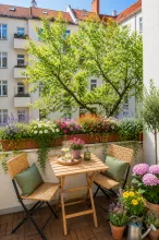 Wohnung kaufen berlin prenzlauer berg eigentumswohnung berlin pankow schivelbeiner straße schwarz immobilien