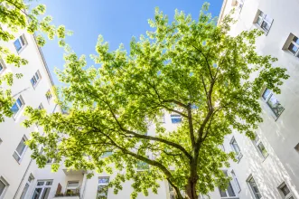 Wohnung kaufen berlin prenzlauer berg eigentumswohnung berlin pankow schivelbeiner straße schwarz immobilien