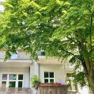 Wohnung kaufen berlin pankow s-bahnhof greifswalder straße hosemannstraße prenzlauer berg eigentumswohnung schwarz immobilien