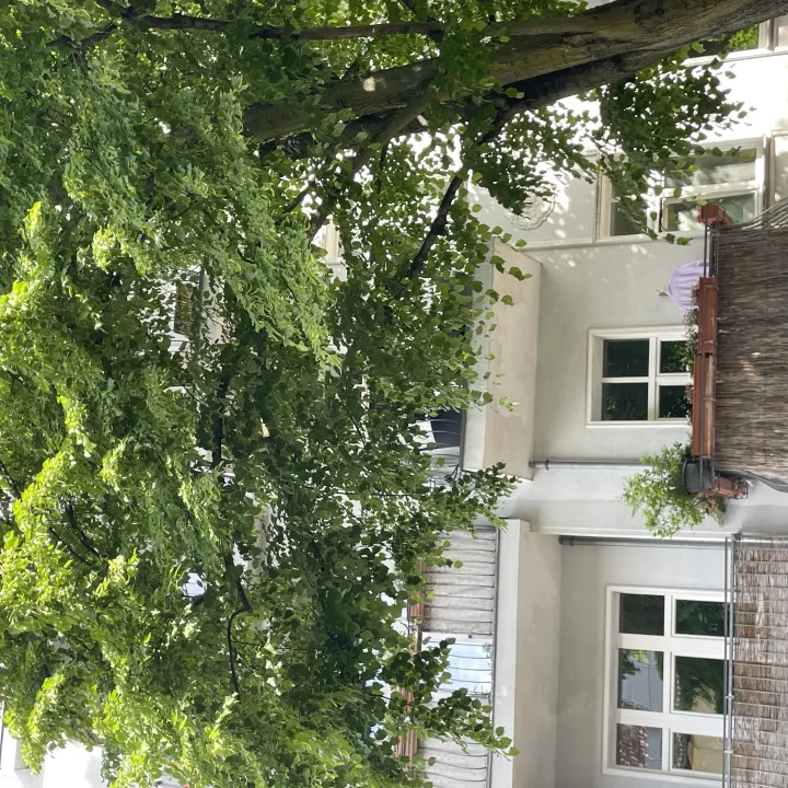 Wohnung kaufen berlin prenzlauer berg hosemannstraße s-bahnhof greifswalder straße eigentumswohnung altbau schwarz immobilien pankow