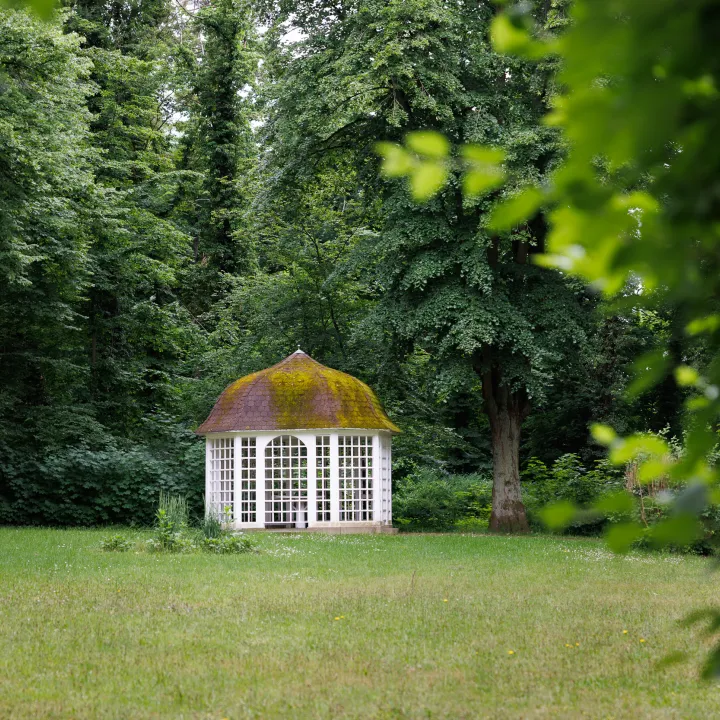 ludwigpark, berlin, buch, kaufen, Eigentumswohnung, park, leben, draußen, zuhause im grünen, möblierte Eigentumswohnung berlin buch